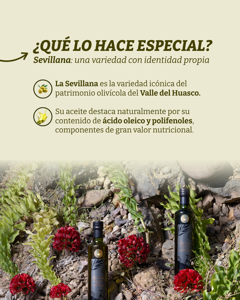 Sevillana D.O. Valle del Huasco