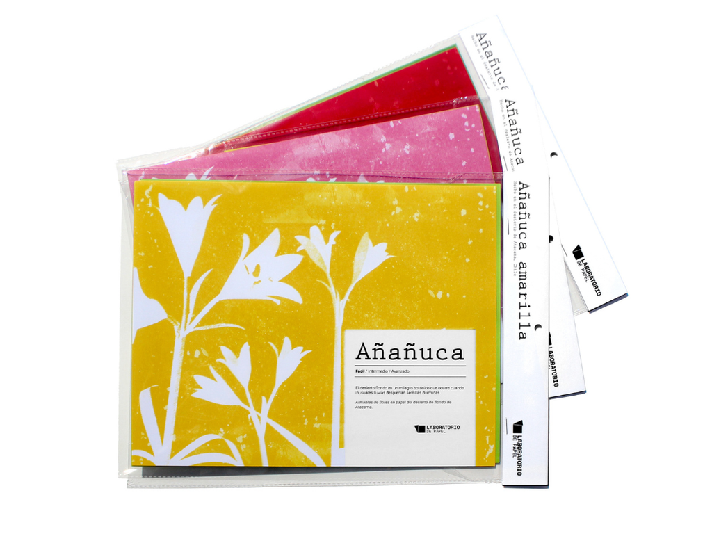 Kit  Flor Desierto Florido - Añañuca