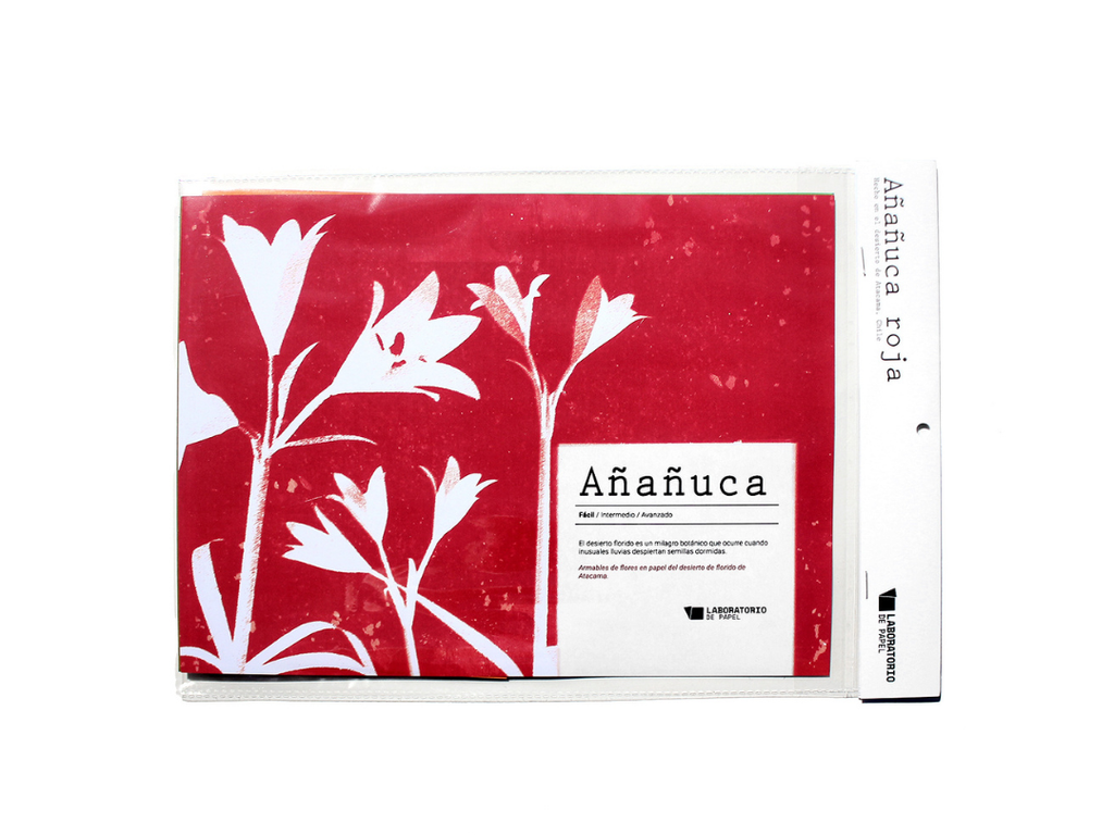 Kit  Flor Desierto Florido - Añañuca