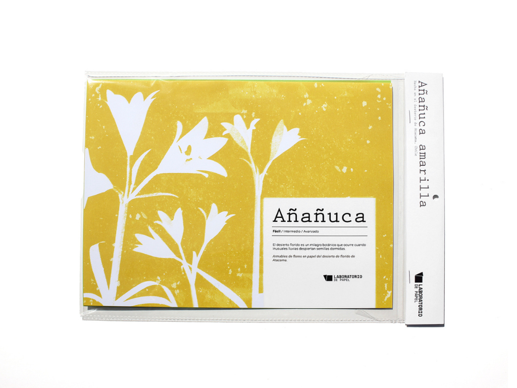 Kit  Flor Desierto Florido - Añañuca