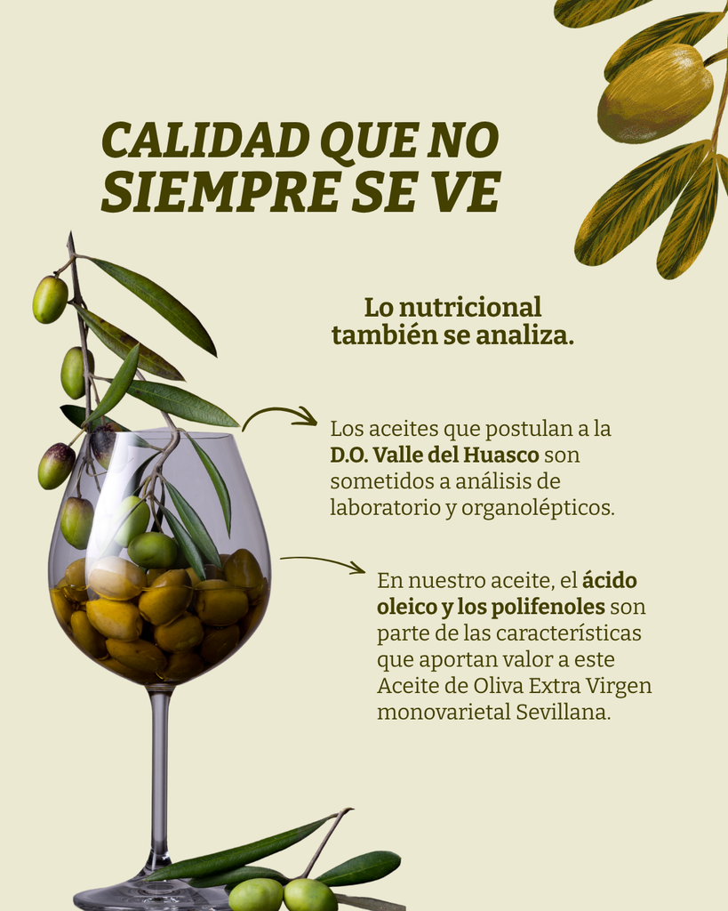 Sevillana D.O. Valle del Huasco