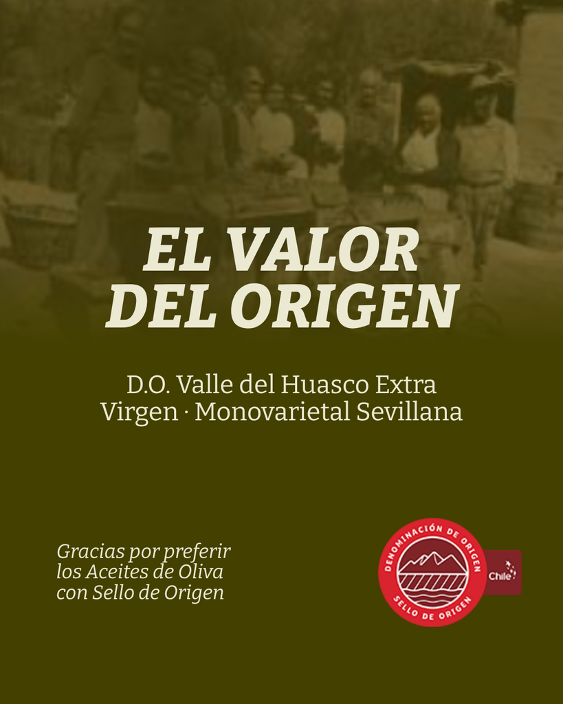 Sevillana D.O. Valle del Huasco